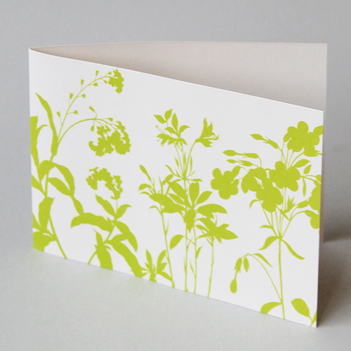 green herbs, great design printed - greeting cards