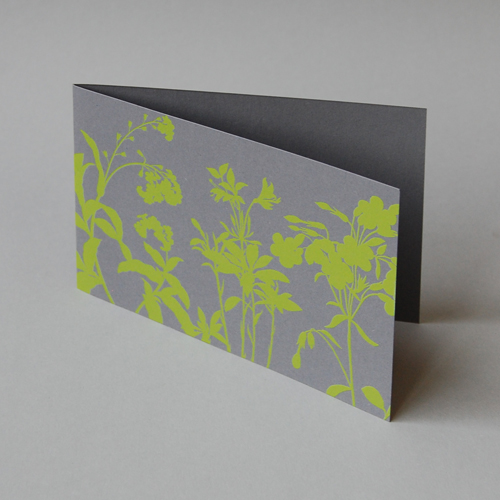 green herbs - greeting cards printed on recycled cardboard